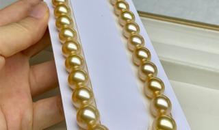 赛珍珠5800和专属定制区别 八马赛珍珠5800价格